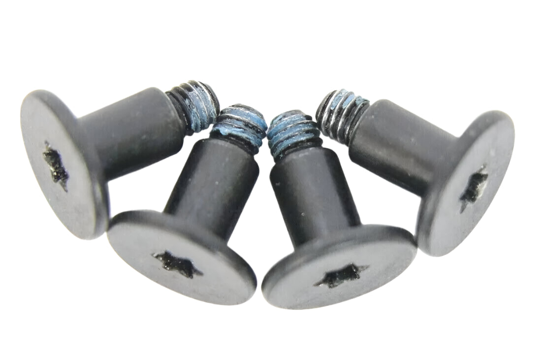 Speaker Screws