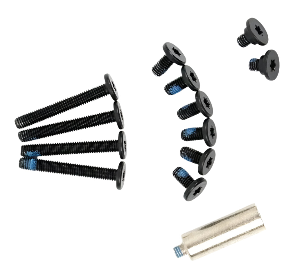 Logic Board Screws