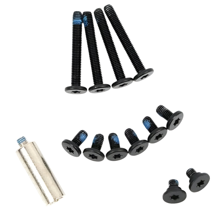 Logic Board Screws